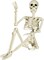 Halloween Skeleton Full Body Posable Joints , 3ft Human Skeleton Decorations for Party Haunted House Supplies (1pc)